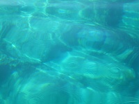 Island Planjak